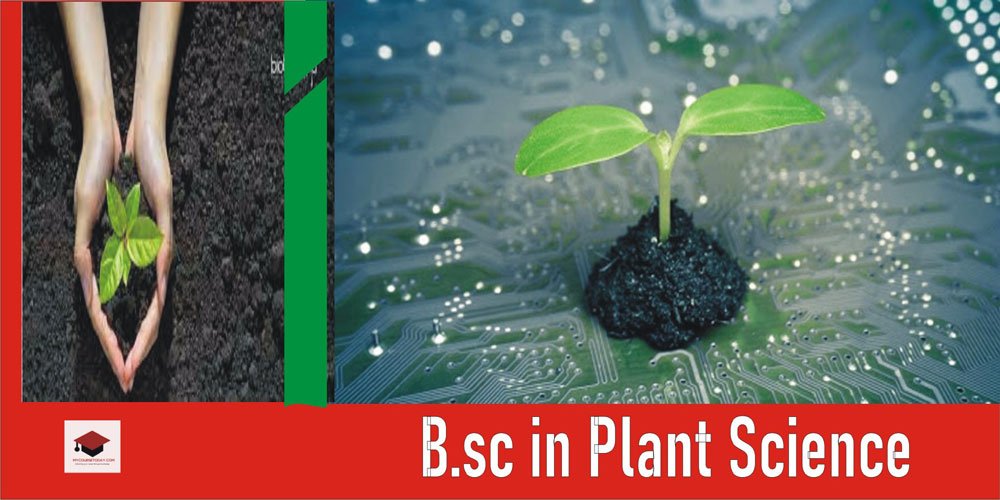 B.Sc. in Plant Science