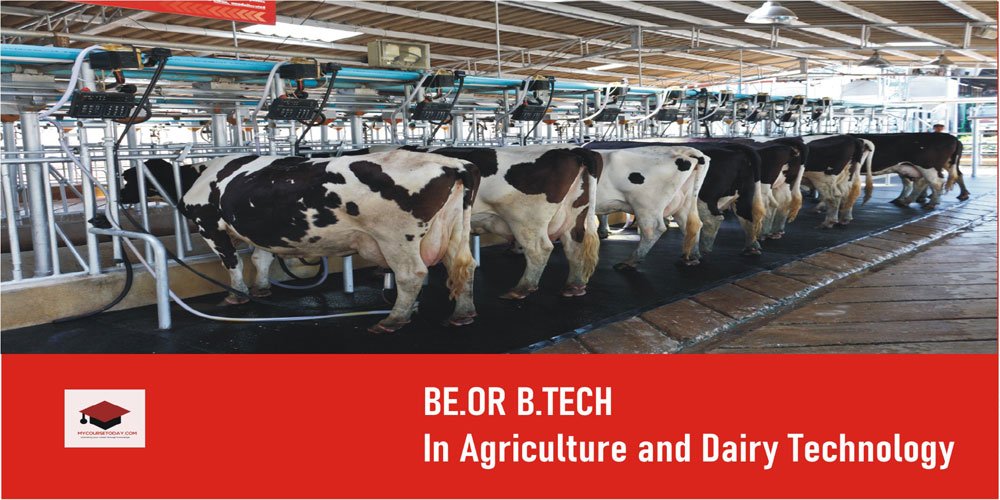 B.E. Or B.Tech in Agriculture and Dairy Technology