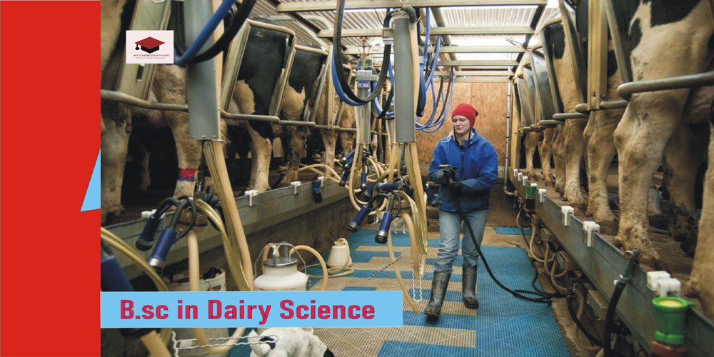 B.Sc. in Dairy Science