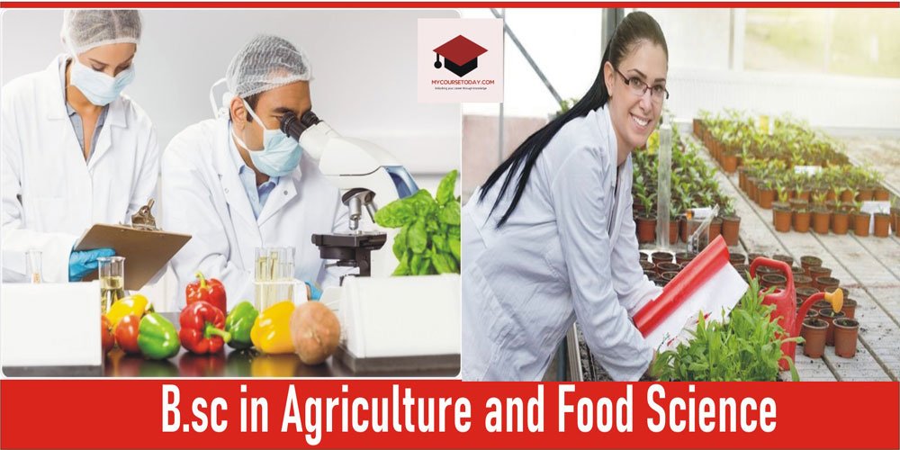 B.Sc. in Agriculture and Food Science