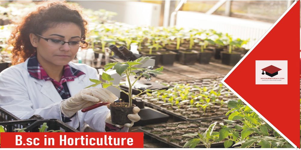 B.Sc. in Horticulture